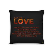Carregar imagem no visualizador da galeria, Pillow - Love John 3: 16      Item#  TPlove
