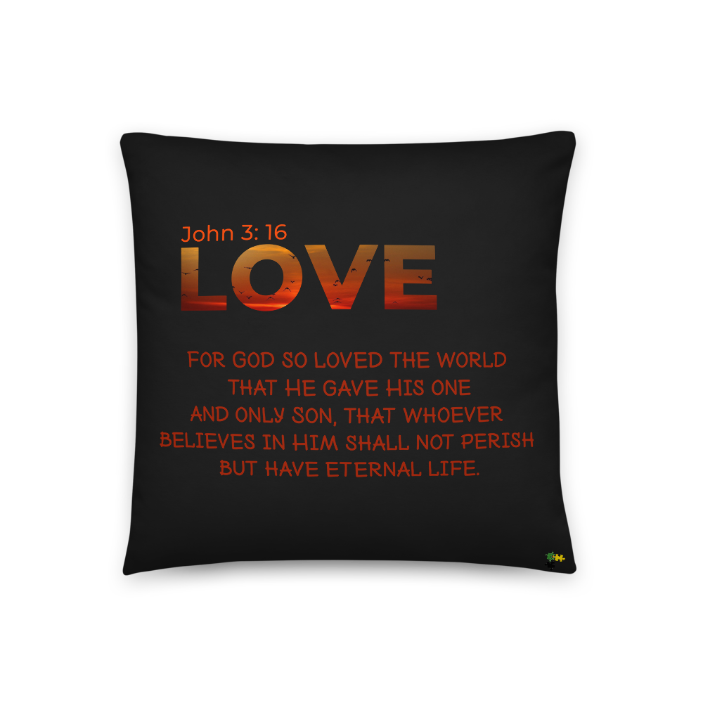 Pillow - Love John 3: 16      Item#  TPlove