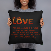 Carregar imagem no visualizador da galeria, Pillow - Love John 3: 16      Item#  TPlove

