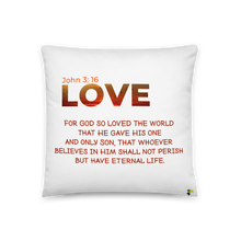 画像をギャラリービューアに読み込む, Pillow - Love John 3: 16      Item#  TPlove
