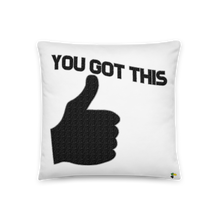 Load image into Gallery viewer, Pillow - You Got This       Item#  TPygt
