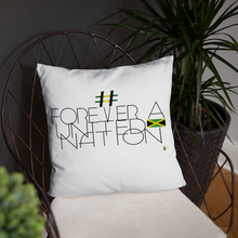 Cargar imagen en el visor de la galería, Pillow - Forever A United Nation      Item#  TPfaun
