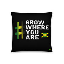 画像をギャラリービューアに読み込む, Pillow - Grow Where You Are   Item#  TPgwya
